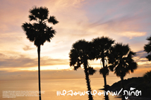 ล่องเรือ ภูเก็ต