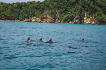 ทัวร์ล่องเรือยอร์ชเกาะไม้ท่อน เกาะพีพี Sunset Cruise Power Catamaran