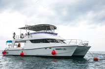 ทัวร์ล่องเรือยอร์ชเกาะไม้ท่อน เกาะพีพี Sunset Cruise Power Catamaran
