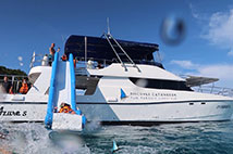 ทัวร์ล่องเรือยอร์ช เกาะรอก เกาะห้า Day Cruise Power Catamaran Program R