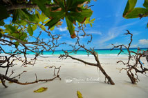 ทัวร์เกาะตาชัย