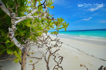 ทัวร์เกาะตาชัย